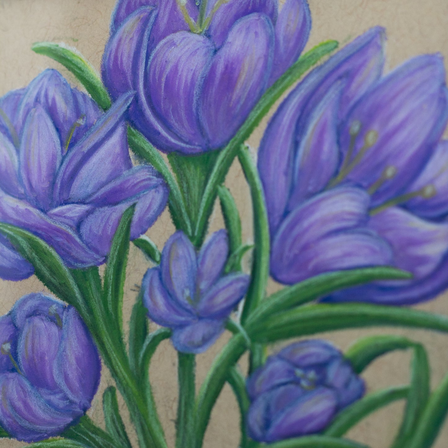 Original 4x4" Crocus Chalk Pastel Mini Decor