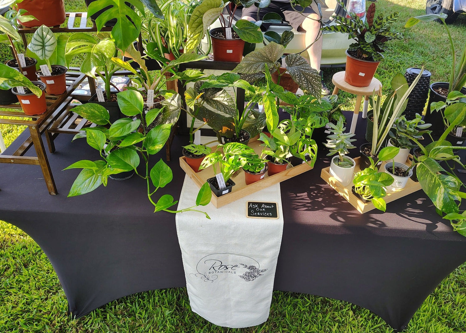 Table with potted plants and a white bag on a grassy outdoor setting