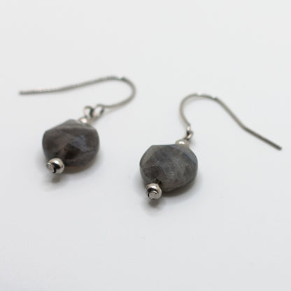 Labradorite Faceted Coin Earrings