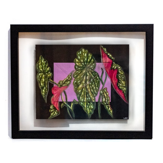 Unsent - Original Oil Pastel Illustration (Framed 15x12")