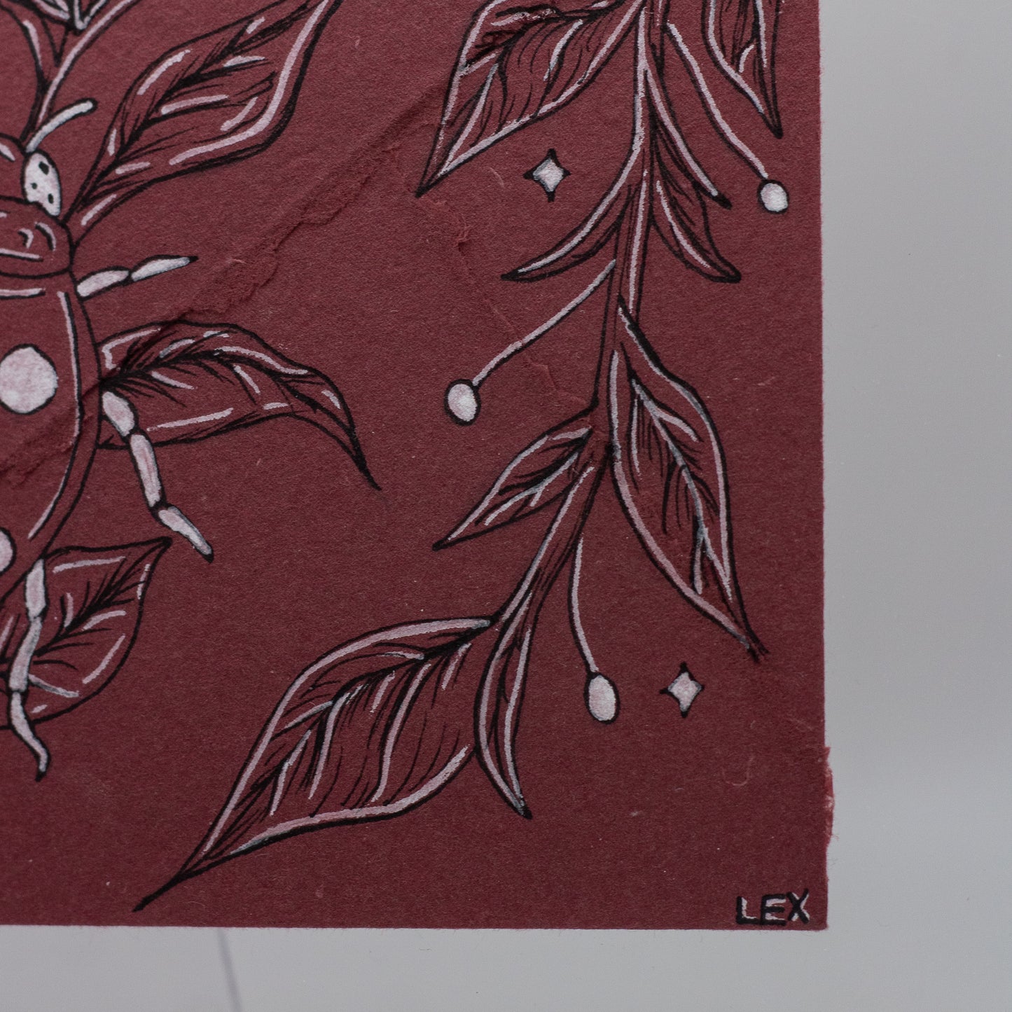 Where I Landed | Original Ink Illustration on Handmade Paper Envelope (Framed 10x8”)