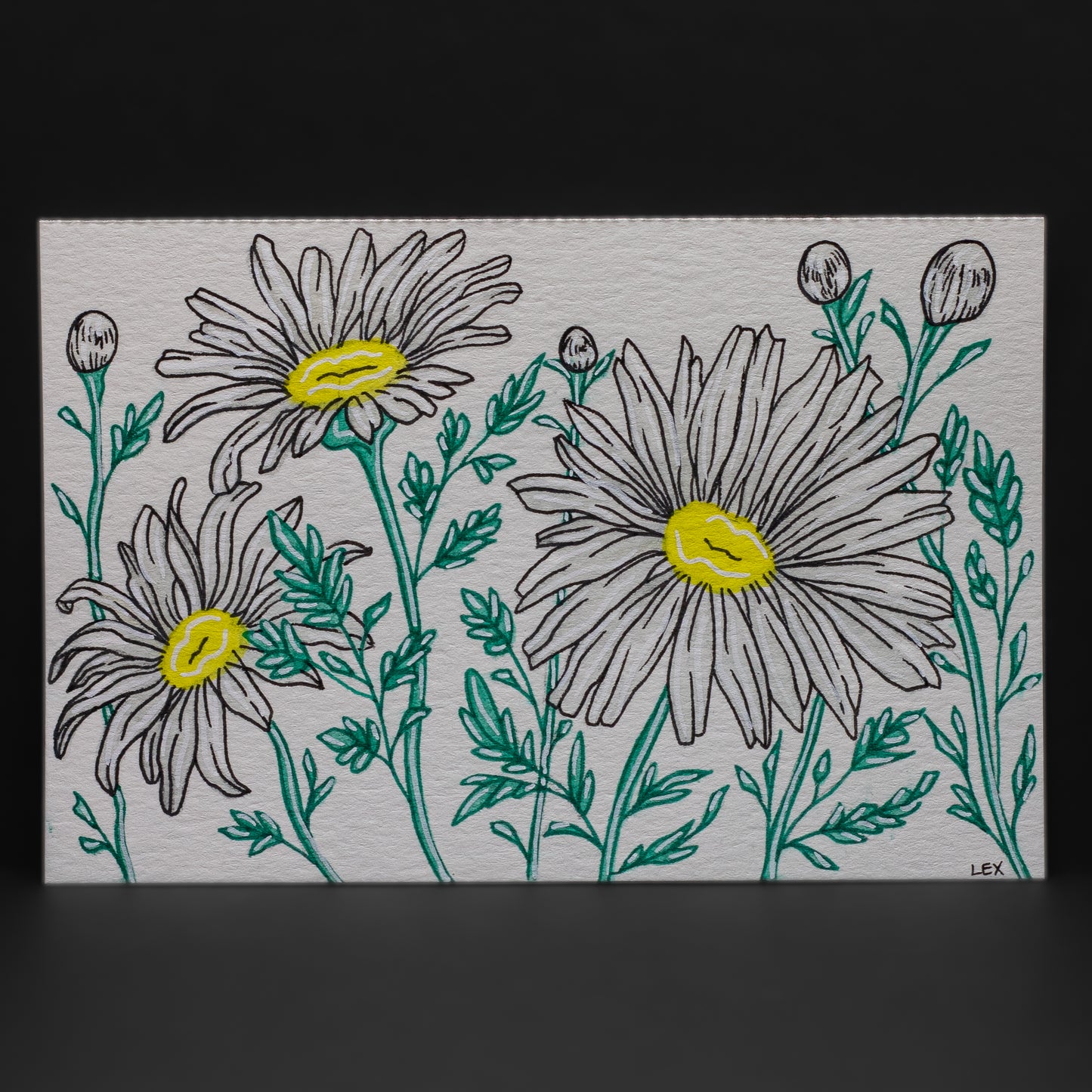 Daisies Postcard (4 × 6”)