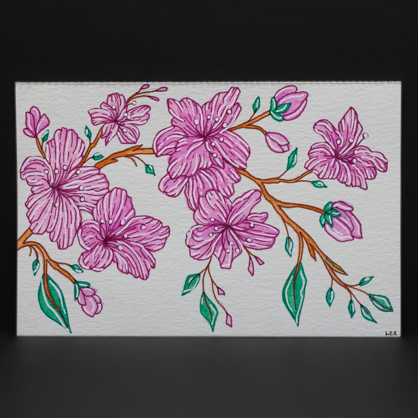 Cherry Blossoms Postcard (4 × 6”)