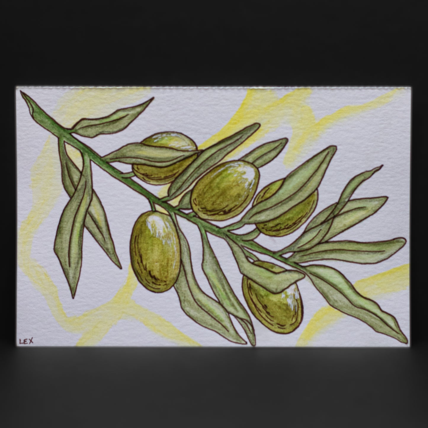 Olive Branch Postcard (4 × 6”)