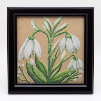 Original 4x4" Snowdrop Chalk Pastel Mini Decor