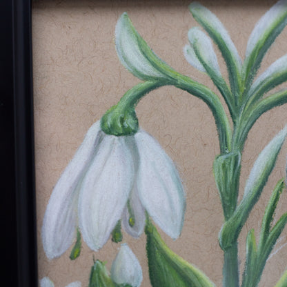 Original 4x4" Snowdrop Chalk Pastel Mini Decor