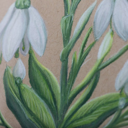 Original 4x4" Snowdrop Chalk Pastel Mini Decor