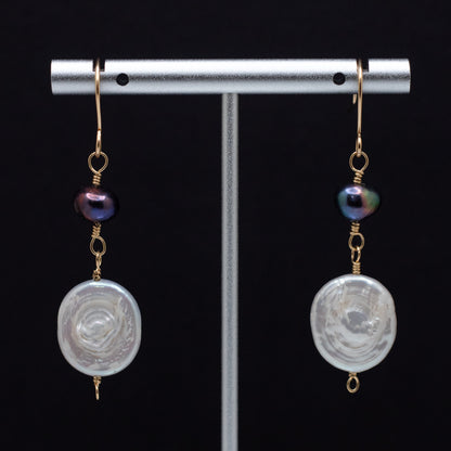 Coin & Black Freshwater Pearl Earrings (14K Gold Filled)