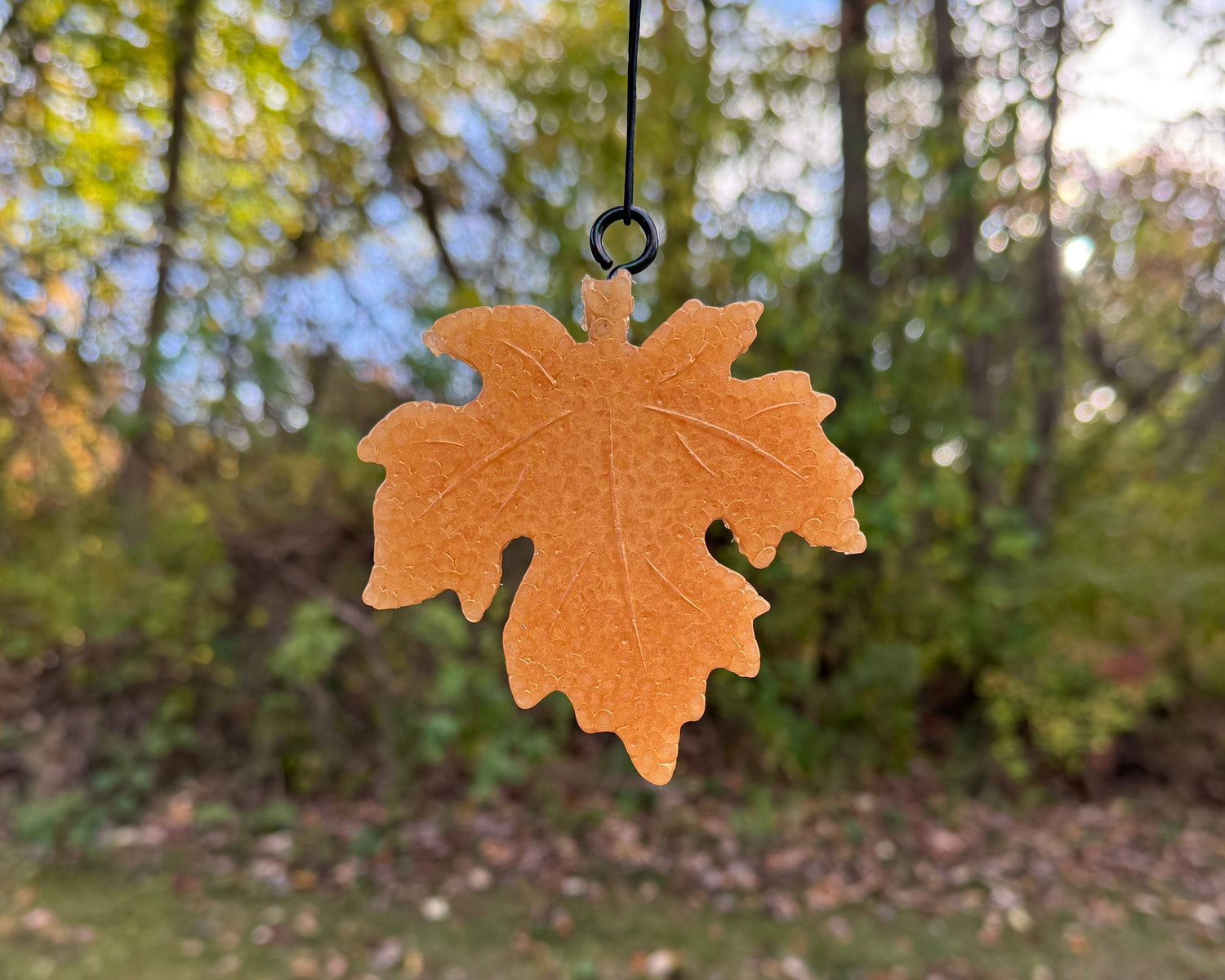 Hand holding a leaf-shaped air freshener with a forest background